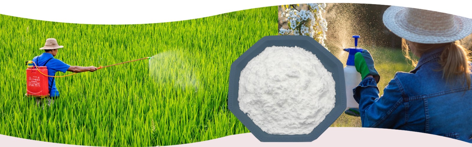 氧化石竹烯CAS号：1139-30-6在农业与农药领域的应用